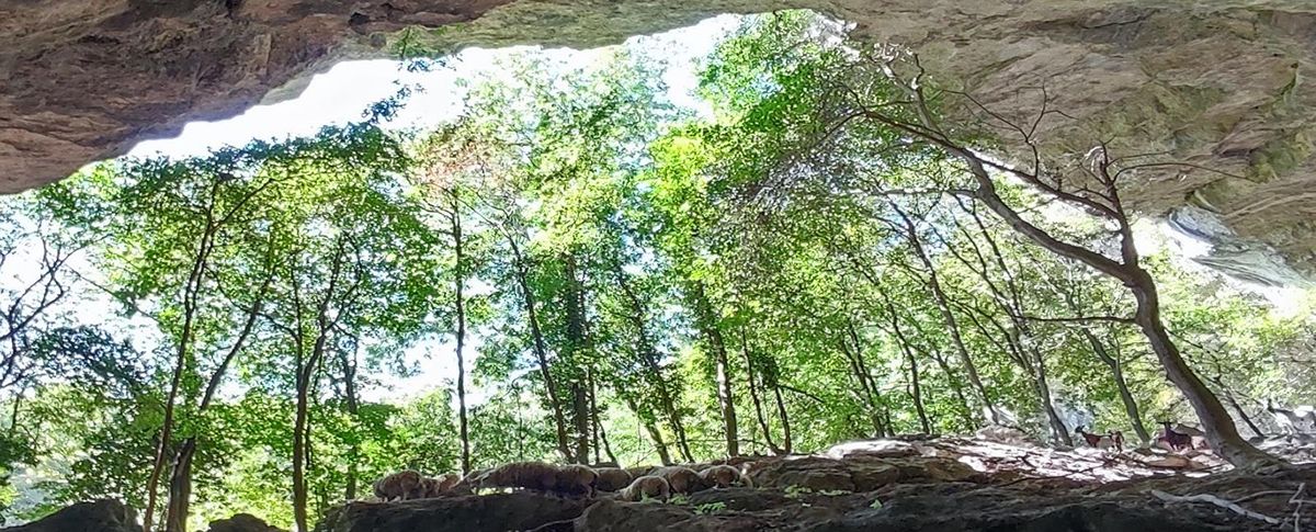 Vercors 20 juin 2026