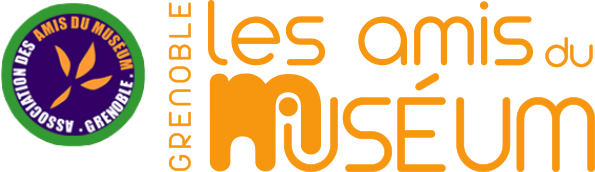 logo amis museum
