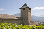 notre dame vignes